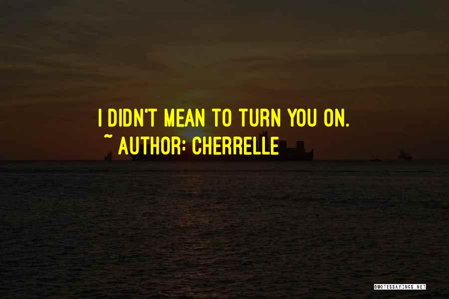 Cherrelle Quotes: I Didn't Mean To Turn You On.