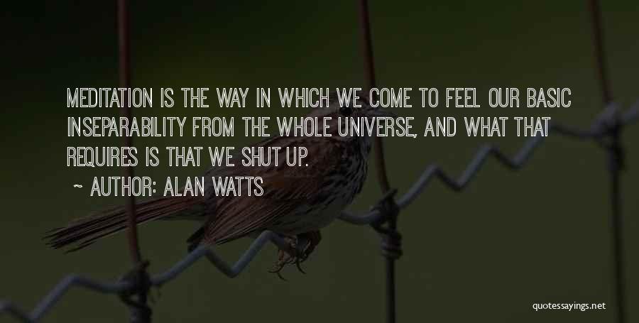 Alan Watts Quotes: Meditation Is The Way In Which We Come To Feel Our Basic Inseparability From The Whole Universe, And What That
