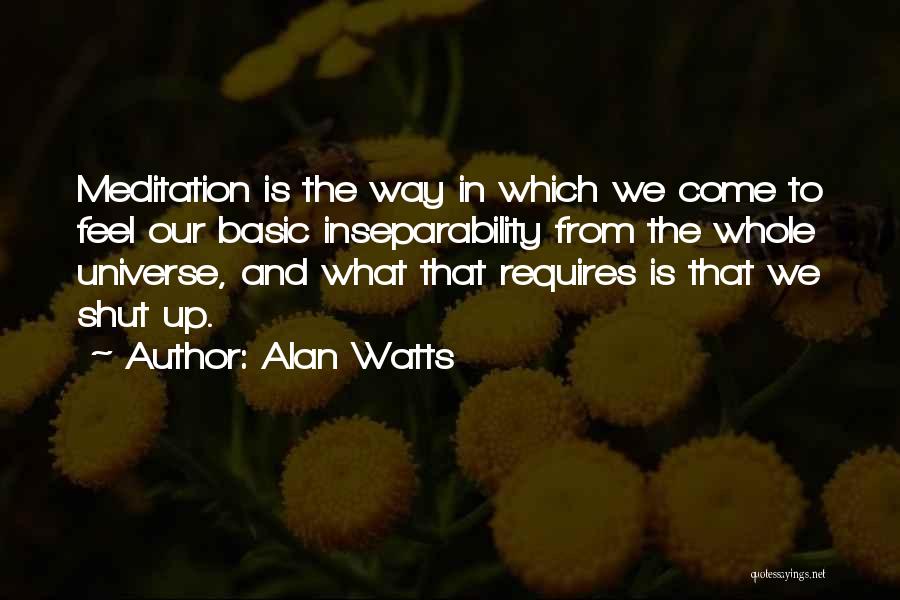 Alan Watts Quotes: Meditation Is The Way In Which We Come To Feel Our Basic Inseparability From The Whole Universe, And What That