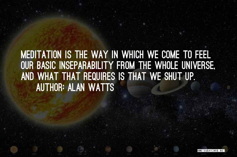 Alan Watts Quotes: Meditation Is The Way In Which We Come To Feel Our Basic Inseparability From The Whole Universe, And What That
