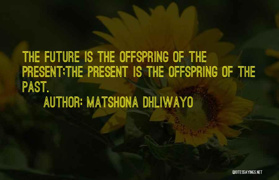 Matshona Dhliwayo Quotes: The Future Is The Offspring Of The Present;the Present Is The Offspring Of The Past.
