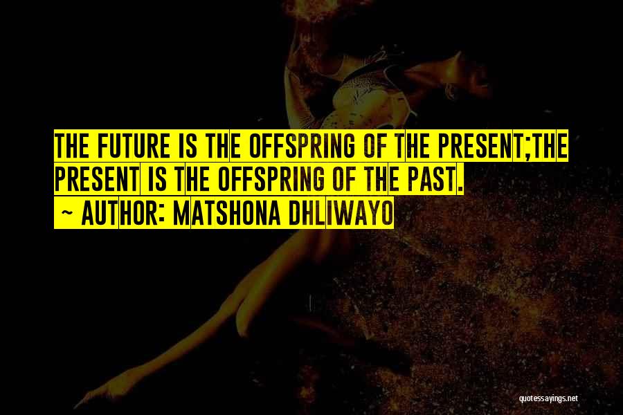 Matshona Dhliwayo Quotes: The Future Is The Offspring Of The Present;the Present Is The Offspring Of The Past.