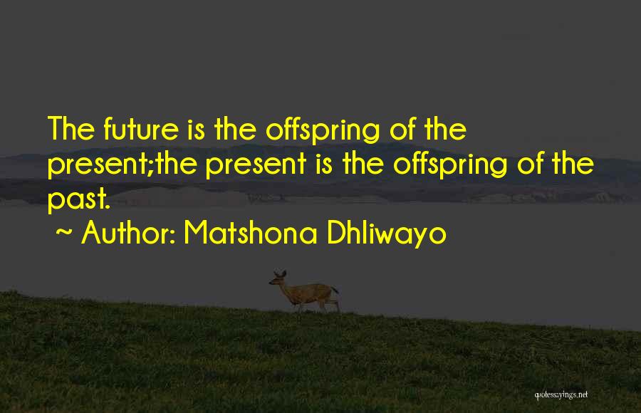 Matshona Dhliwayo Quotes: The Future Is The Offspring Of The Present;the Present Is The Offspring Of The Past.