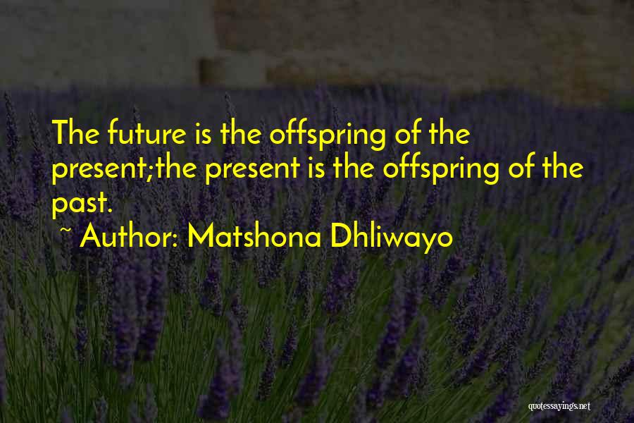 Matshona Dhliwayo Quotes: The Future Is The Offspring Of The Present;the Present Is The Offspring Of The Past.