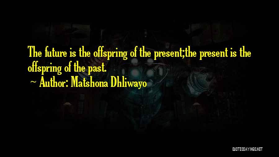 Matshona Dhliwayo Quotes: The Future Is The Offspring Of The Present;the Present Is The Offspring Of The Past.
