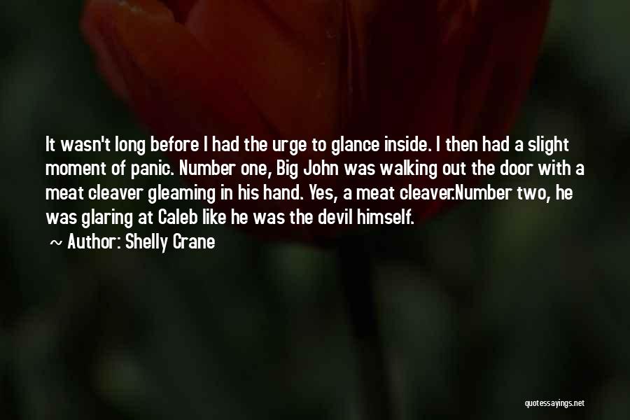 Shelly Crane Quotes: It Wasn't Long Before I Had The Urge To Glance Inside. I Then Had A Slight Moment Of Panic. Number