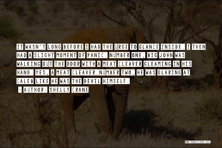 Shelly Crane Quotes: It Wasn't Long Before I Had The Urge To Glance Inside. I Then Had A Slight Moment Of Panic. Number