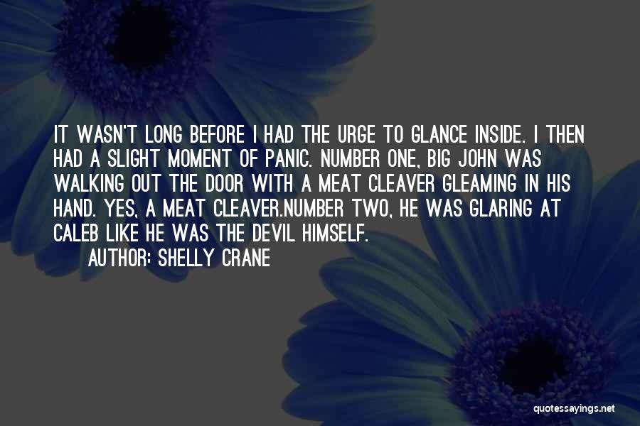 Shelly Crane Quotes: It Wasn't Long Before I Had The Urge To Glance Inside. I Then Had A Slight Moment Of Panic. Number