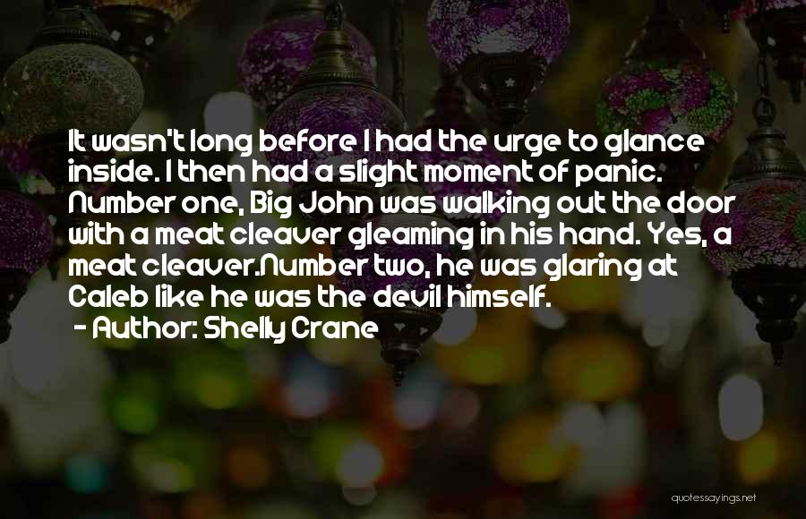 Shelly Crane Quotes: It Wasn't Long Before I Had The Urge To Glance Inside. I Then Had A Slight Moment Of Panic. Number