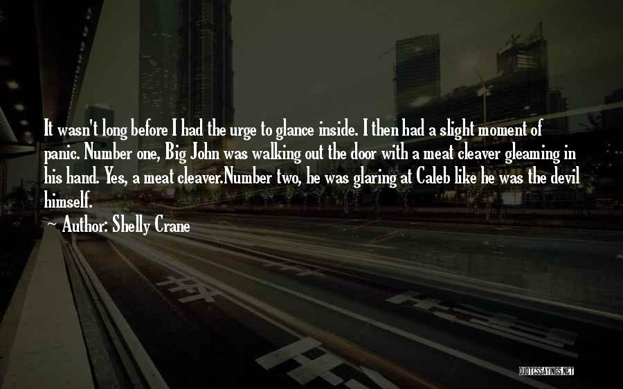 Shelly Crane Quotes: It Wasn't Long Before I Had The Urge To Glance Inside. I Then Had A Slight Moment Of Panic. Number