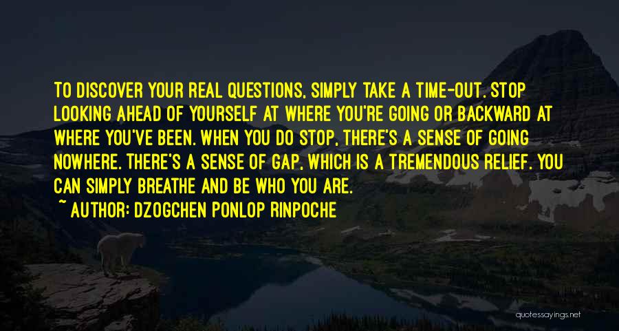 Dzogchen Ponlop Rinpoche Quotes: To Discover Your Real Questions, Simply Take A Time-out. Stop Looking Ahead Of Yourself At Where You're Going Or Backward