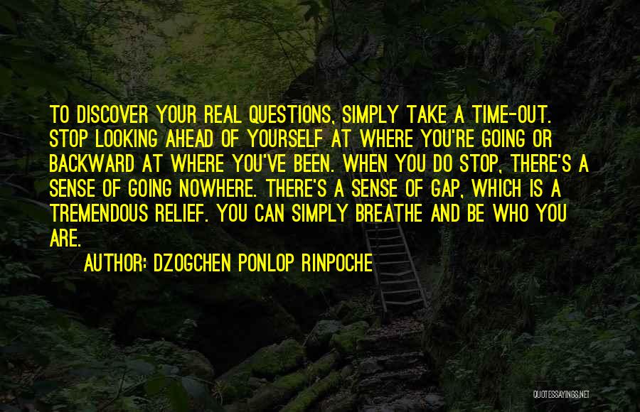 Dzogchen Ponlop Rinpoche Quotes: To Discover Your Real Questions, Simply Take A Time-out. Stop Looking Ahead Of Yourself At Where You're Going Or Backward