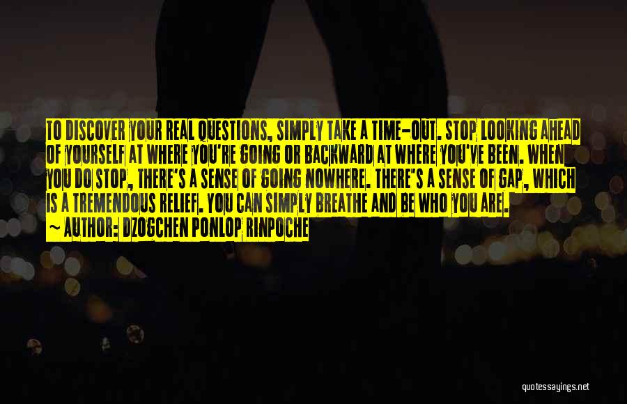 Dzogchen Ponlop Rinpoche Quotes: To Discover Your Real Questions, Simply Take A Time-out. Stop Looking Ahead Of Yourself At Where You're Going Or Backward