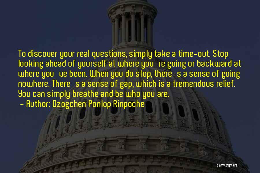 Dzogchen Ponlop Rinpoche Quotes: To Discover Your Real Questions, Simply Take A Time-out. Stop Looking Ahead Of Yourself At Where You're Going Or Backward