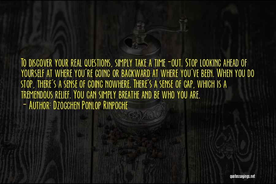 Dzogchen Ponlop Rinpoche Quotes: To Discover Your Real Questions, Simply Take A Time-out. Stop Looking Ahead Of Yourself At Where You're Going Or Backward