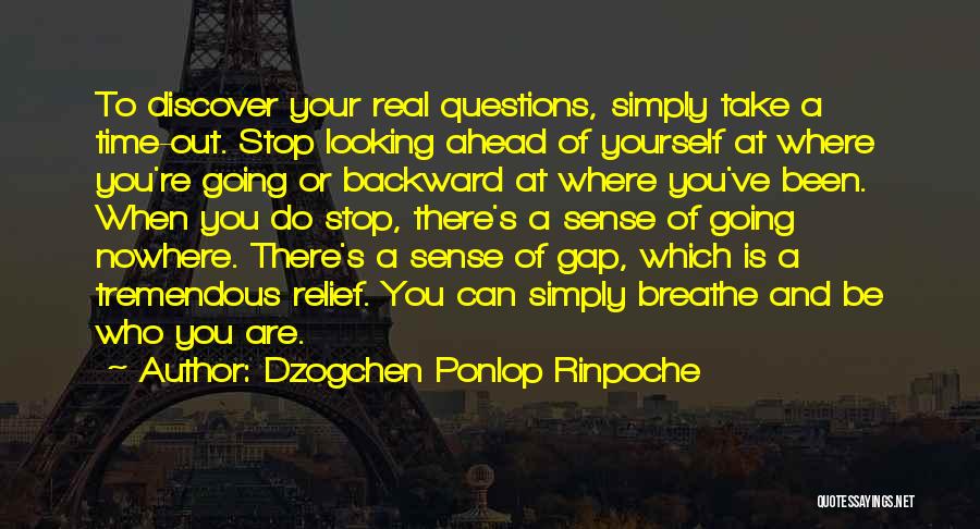 Dzogchen Ponlop Rinpoche Quotes: To Discover Your Real Questions, Simply Take A Time-out. Stop Looking Ahead Of Yourself At Where You're Going Or Backward