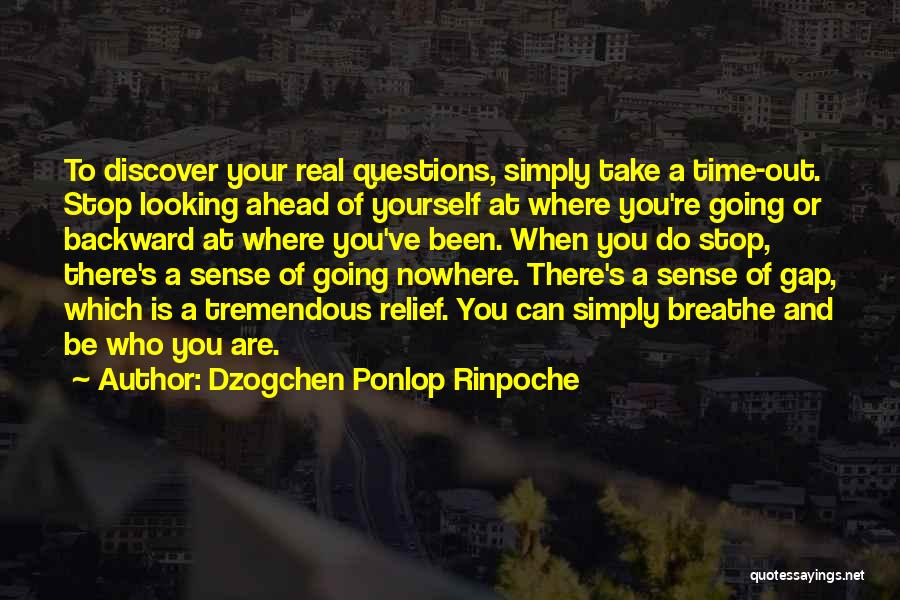 Dzogchen Ponlop Rinpoche Quotes: To Discover Your Real Questions, Simply Take A Time-out. Stop Looking Ahead Of Yourself At Where You're Going Or Backward