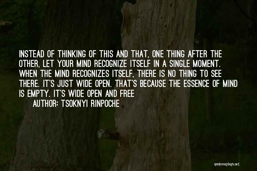 Tsoknyi Rinpoche Quotes: Instead Of Thinking Of This And That, One Thing After The Other, Let Your Mind Recognize Itself In A Single