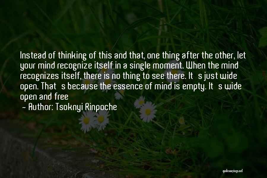 Tsoknyi Rinpoche Quotes: Instead Of Thinking Of This And That, One Thing After The Other, Let Your Mind Recognize Itself In A Single