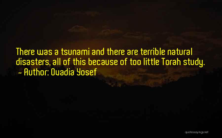 Ovadia Yosef Quotes: There Was A Tsunami And There Are Terrible Natural Disasters, All Of This Because Of Too Little Torah Study.