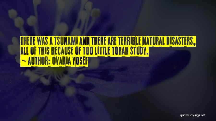 Ovadia Yosef Quotes: There Was A Tsunami And There Are Terrible Natural Disasters, All Of This Because Of Too Little Torah Study.
