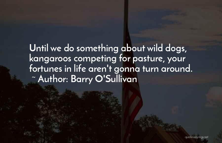 Barry O'Sullivan Quotes: Until We Do Something About Wild Dogs, Kangaroos Competing For Pasture, Your Fortunes In Life Aren't Gonna Turn Around.