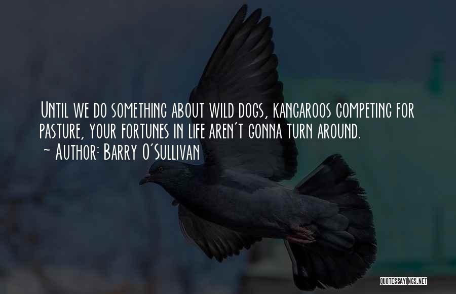 Barry O'Sullivan Quotes: Until We Do Something About Wild Dogs, Kangaroos Competing For Pasture, Your Fortunes In Life Aren't Gonna Turn Around.