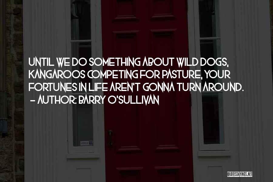 Barry O'Sullivan Quotes: Until We Do Something About Wild Dogs, Kangaroos Competing For Pasture, Your Fortunes In Life Aren't Gonna Turn Around.