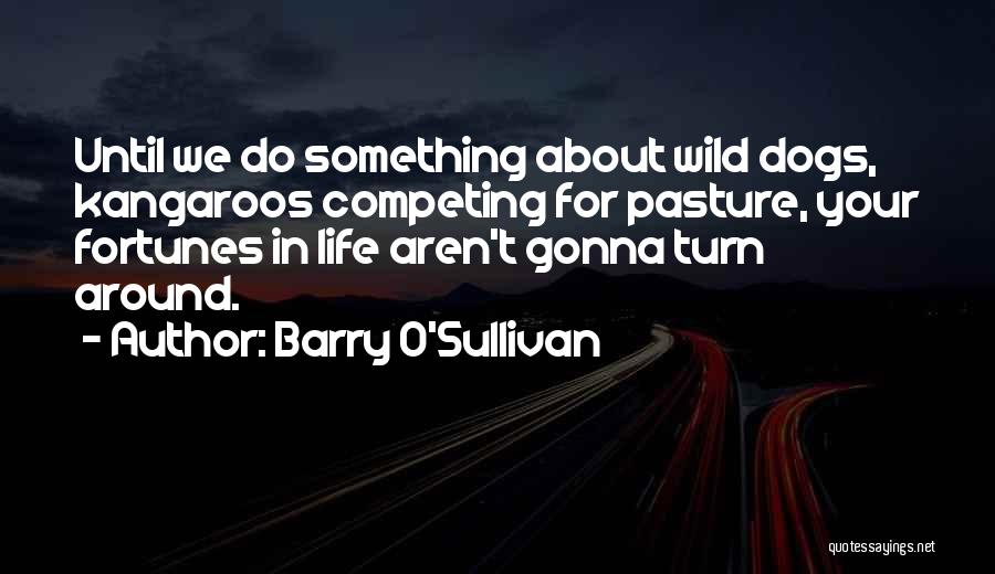 Barry O'Sullivan Quotes: Until We Do Something About Wild Dogs, Kangaroos Competing For Pasture, Your Fortunes In Life Aren't Gonna Turn Around.