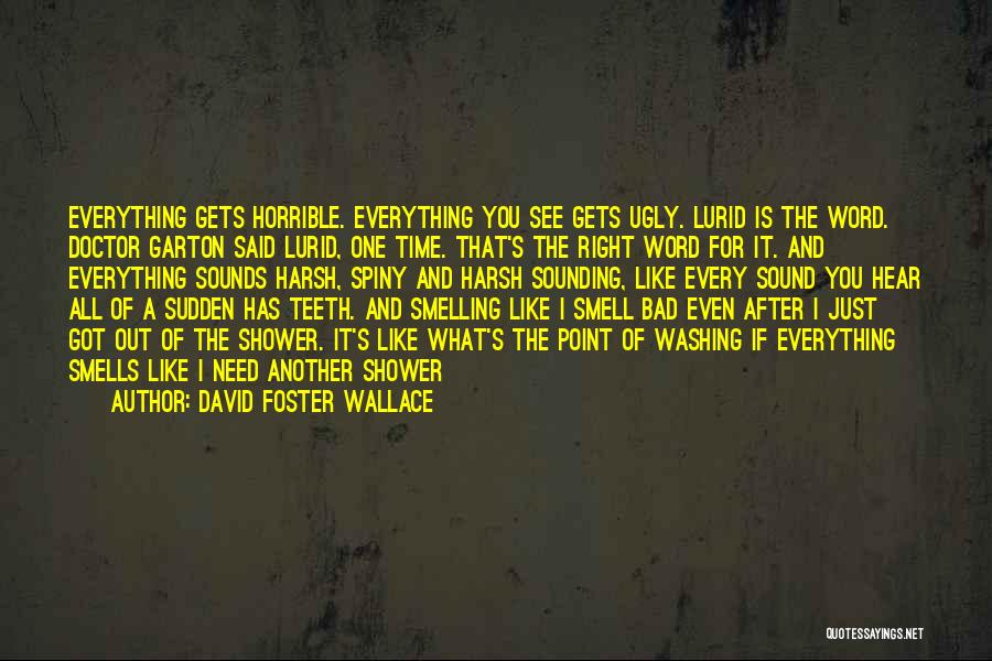 David Foster Wallace Quotes: Everything Gets Horrible. Everything You See Gets Ugly. Lurid Is The Word. Doctor Garton Said Lurid, One Time. That's The