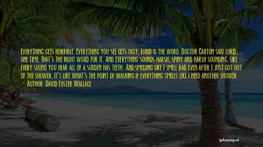 David Foster Wallace Quotes: Everything Gets Horrible. Everything You See Gets Ugly. Lurid Is The Word. Doctor Garton Said Lurid, One Time. That's The