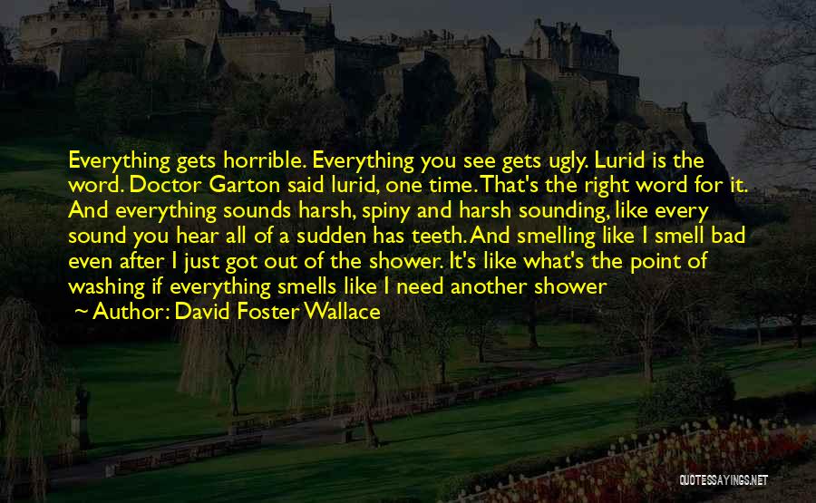 David Foster Wallace Quotes: Everything Gets Horrible. Everything You See Gets Ugly. Lurid Is The Word. Doctor Garton Said Lurid, One Time. That's The