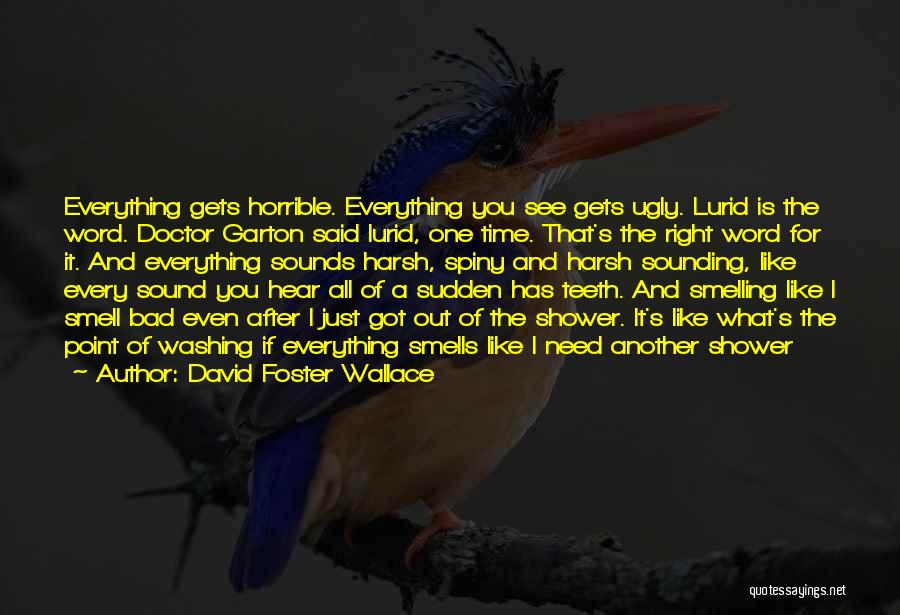 David Foster Wallace Quotes: Everything Gets Horrible. Everything You See Gets Ugly. Lurid Is The Word. Doctor Garton Said Lurid, One Time. That's The