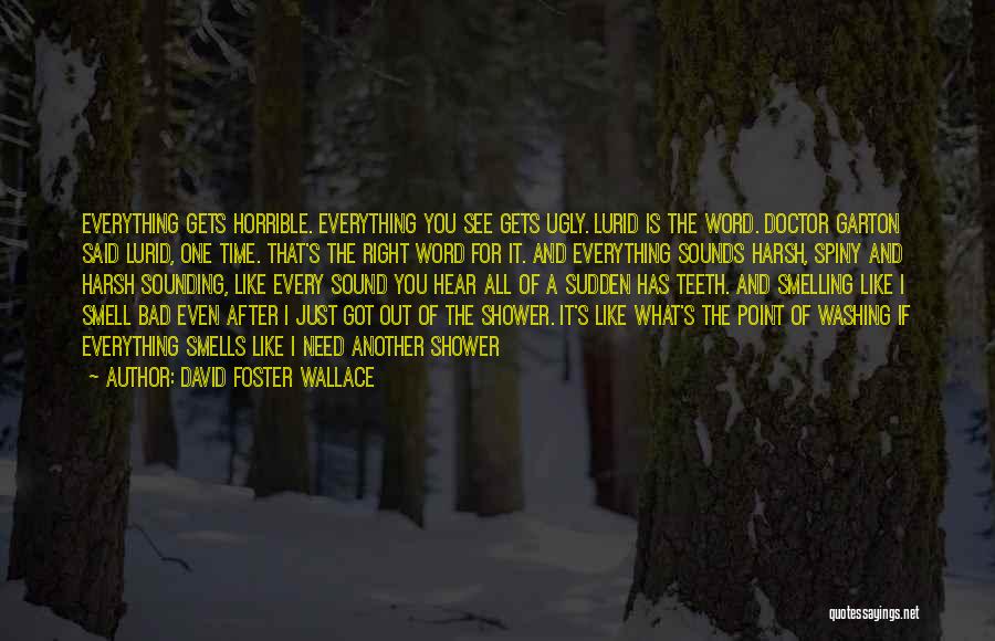 David Foster Wallace Quotes: Everything Gets Horrible. Everything You See Gets Ugly. Lurid Is The Word. Doctor Garton Said Lurid, One Time. That's The