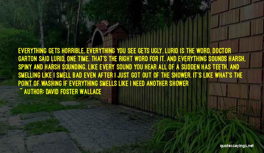 David Foster Wallace Quotes: Everything Gets Horrible. Everything You See Gets Ugly. Lurid Is The Word. Doctor Garton Said Lurid, One Time. That's The