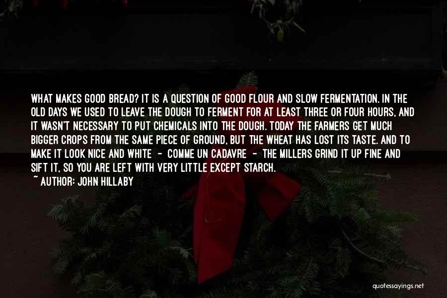 John Hillaby Quotes: What Makes Good Bread? It Is A Question Of Good Flour And Slow Fermentation. In The Old Days We Used