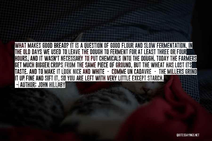 John Hillaby Quotes: What Makes Good Bread? It Is A Question Of Good Flour And Slow Fermentation. In The Old Days We Used