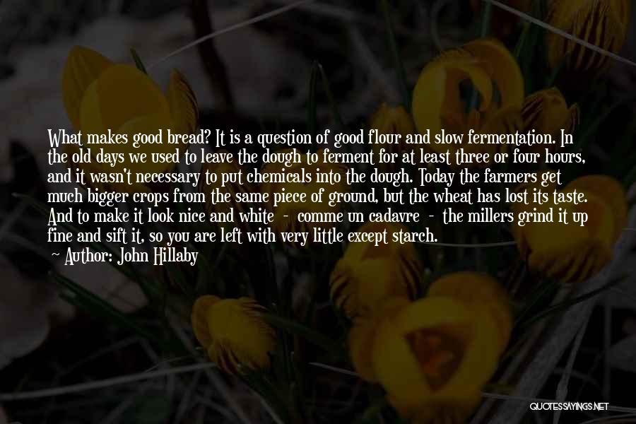 John Hillaby Quotes: What Makes Good Bread? It Is A Question Of Good Flour And Slow Fermentation. In The Old Days We Used