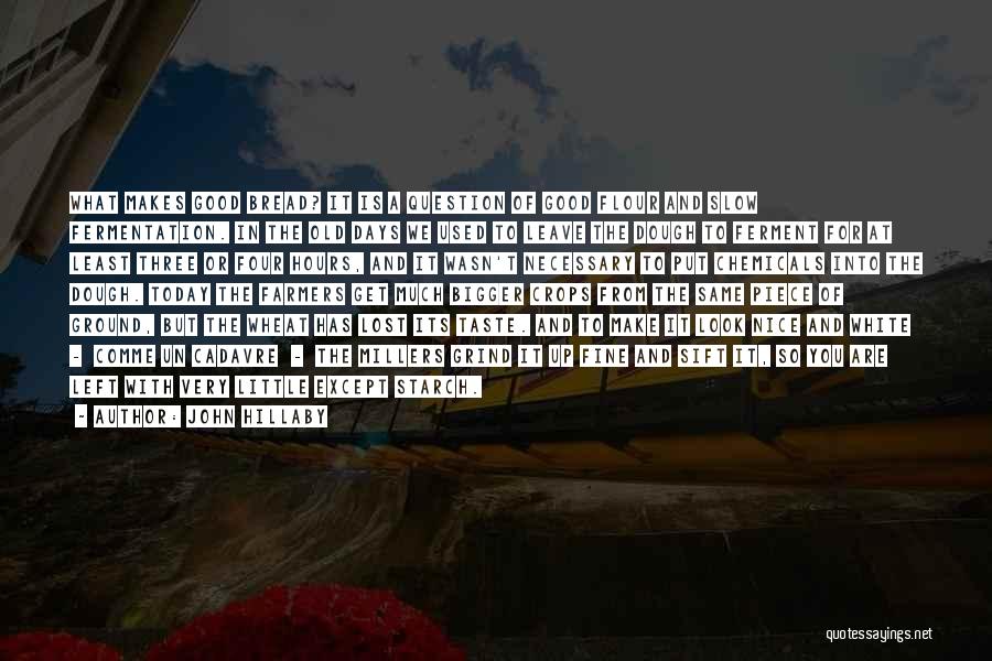 John Hillaby Quotes: What Makes Good Bread? It Is A Question Of Good Flour And Slow Fermentation. In The Old Days We Used