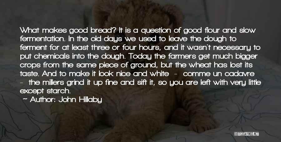 John Hillaby Quotes: What Makes Good Bread? It Is A Question Of Good Flour And Slow Fermentation. In The Old Days We Used