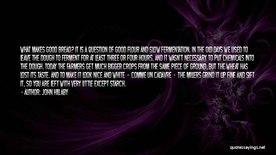 John Hillaby Quotes: What Makes Good Bread? It Is A Question Of Good Flour And Slow Fermentation. In The Old Days We Used