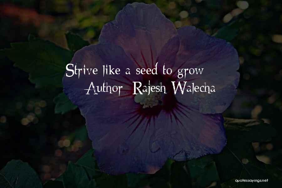 Rajesh Walecha Quotes: Strive Like A Seed To Grow