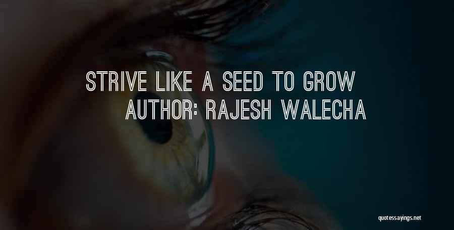 Rajesh Walecha Quotes: Strive Like A Seed To Grow