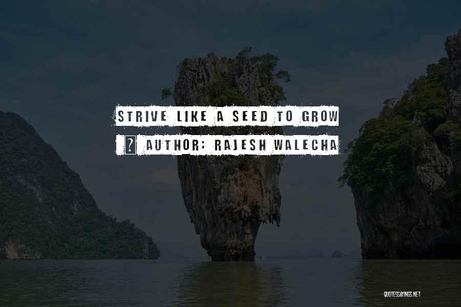 Rajesh Walecha Quotes: Strive Like A Seed To Grow