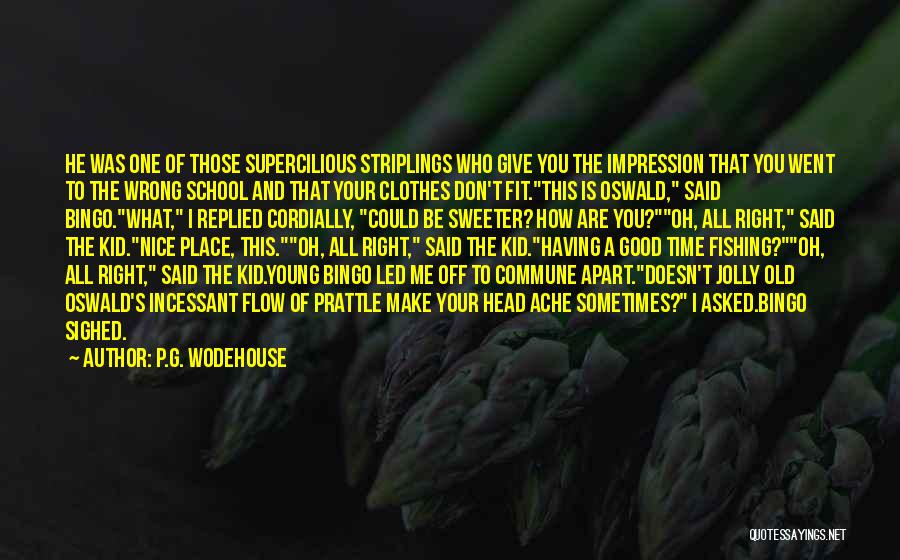 P.G. Wodehouse Quotes: He Was One Of Those Supercilious Striplings Who Give You The Impression That You Went To The Wrong School And