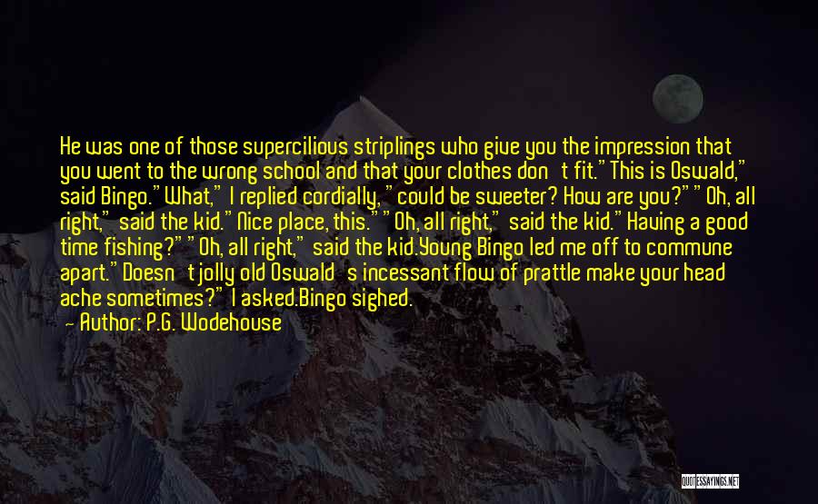 P.G. Wodehouse Quotes: He Was One Of Those Supercilious Striplings Who Give You The Impression That You Went To The Wrong School And