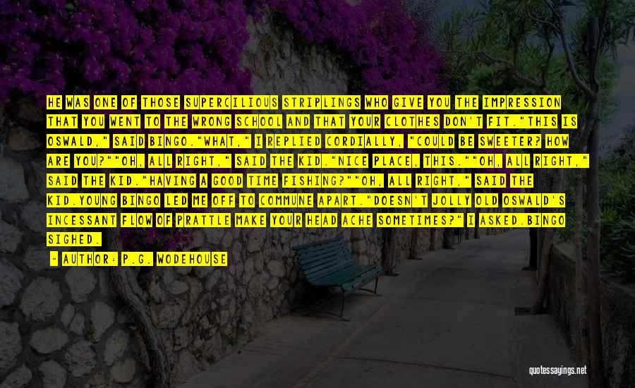 P.G. Wodehouse Quotes: He Was One Of Those Supercilious Striplings Who Give You The Impression That You Went To The Wrong School And