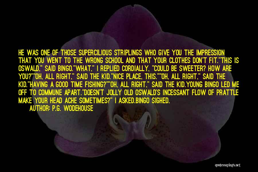 P.G. Wodehouse Quotes: He Was One Of Those Supercilious Striplings Who Give You The Impression That You Went To The Wrong School And