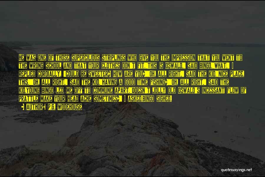 P.G. Wodehouse Quotes: He Was One Of Those Supercilious Striplings Who Give You The Impression That You Went To The Wrong School And