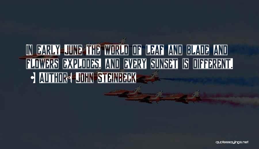 John Steinbeck Quotes: In Early June The World Of Leaf And Blade And Flowers Explodes, And Every Sunset Is Different.